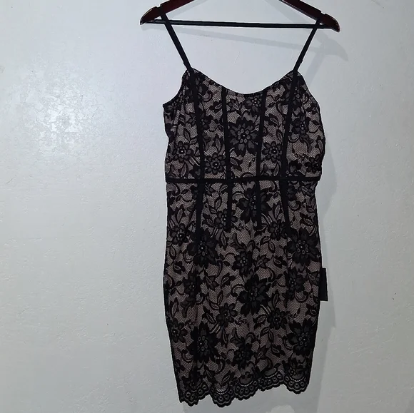 NWT LULU'S Swest Little Number Lace Mini Dress - Picture 4 of 8